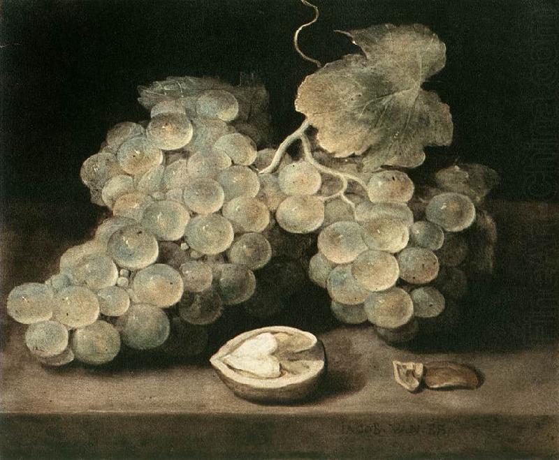 ES, Jacob van Grape with Walnut d china oil painting image